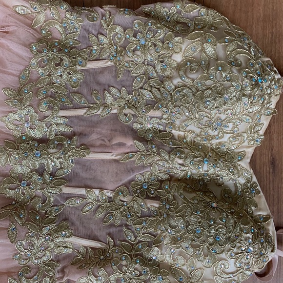 Pink Designer Prom Dress - Picture 3 of 6